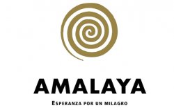 amalaya_logo